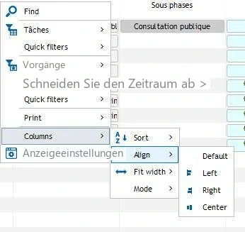 Visual Planning 10 - Klicken Sie dazu mit der rechten Maustaste auf die Spaltenüberschrift > Kontextmenü > Spalten > Ausrichten > Zeilenumbruch - Abbildung 1