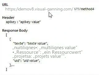 Visual Planning 10 - Hinweis