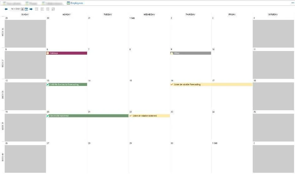 Visual Planning 10 - Kalenderansicht