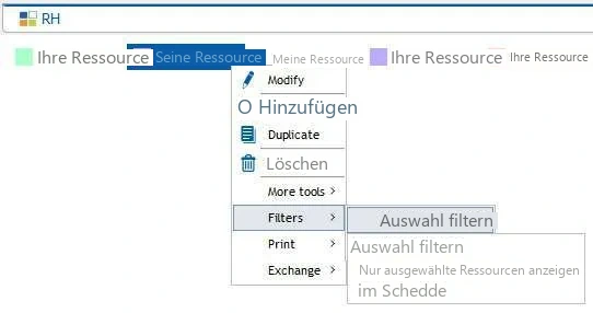 Visual Planning 10 - Klicken Sie mit der rechten Maustaste auf eine Auswahl von Ressourcen > Filtern Sie die Auswahl mit dem Ressourcenfilter. - Abbildung 1